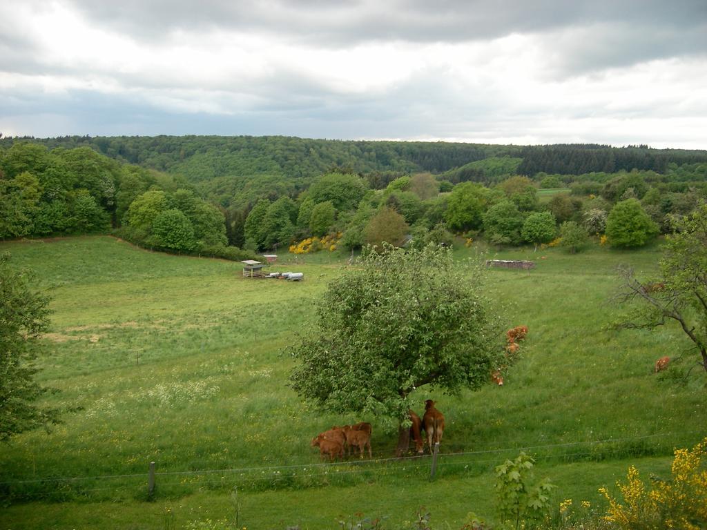 Landhaus Bad Bertrich Exterior foto